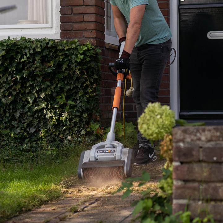 Produktbild Batavia Maxxbrush (Netzbetrieb)