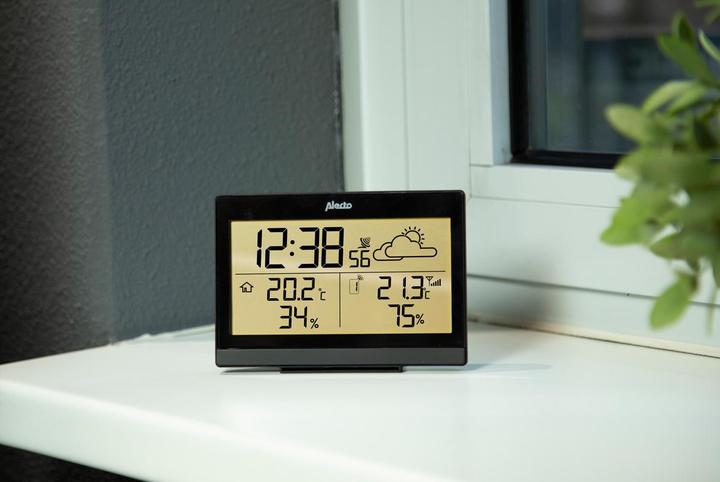 Actual product image Alecto WS-2300