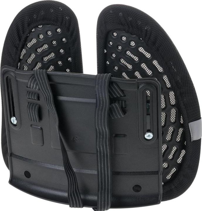 Immagine prodotto Fellowes Supporto per la schiena Back Angel (14,5 x 39,5 x 44 cm)