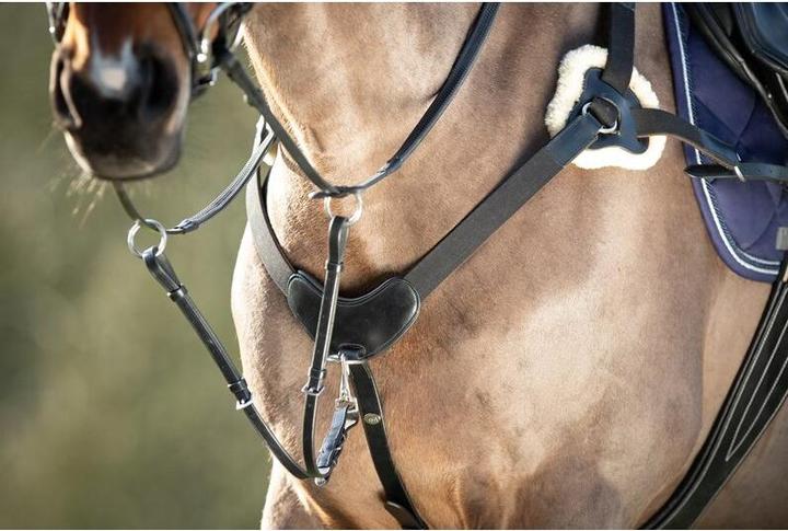 Actual product image HFI Master 5 Points