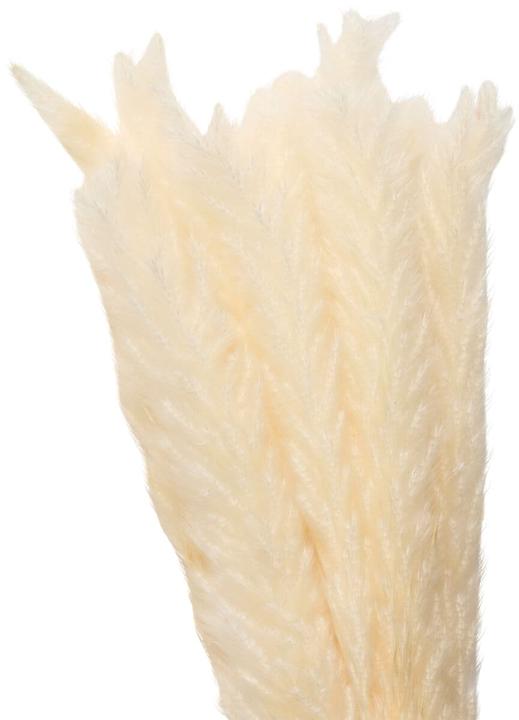 Produktbild micasa Pampas (100 cm)