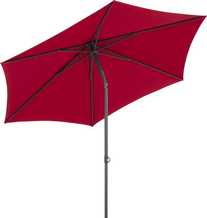 Actual product image Schneider Schirme Parasol adjustable in height up to 60 cm.