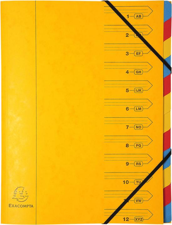 Actual product image Exacompta Stapled file folders (A4, 1 x)