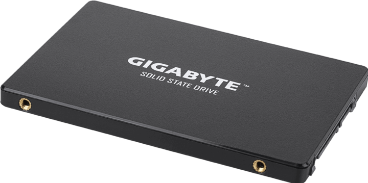 Actual product image Gigabyte GP-GSTFS31100TNTD (1000 GB, 2.5")