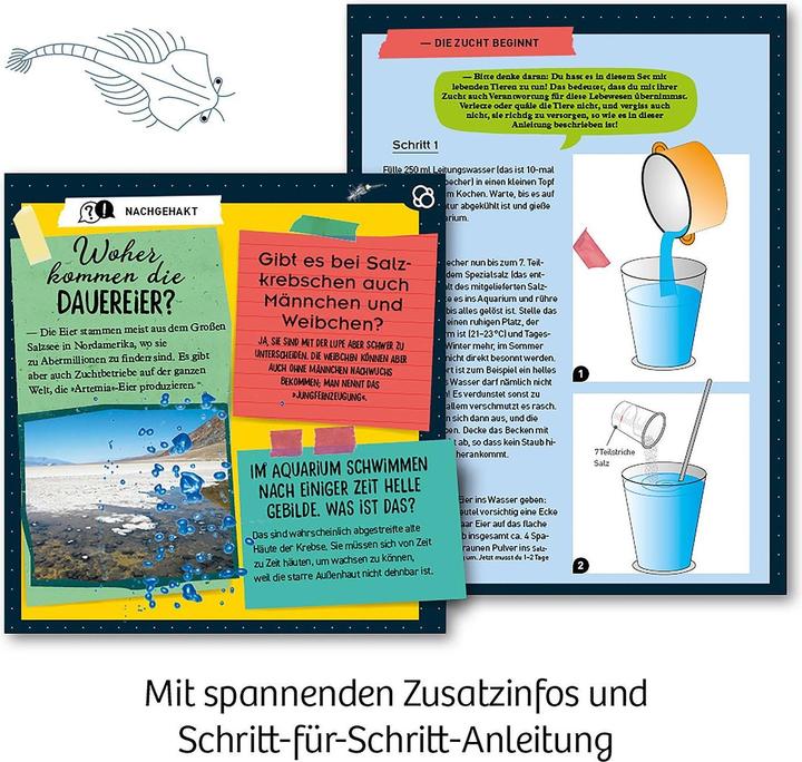 Produktbild Kosmos Urzeit-Krebse