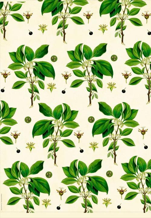 Wrapping paper book - Schöner schenken (Augustina Collection) (12x)