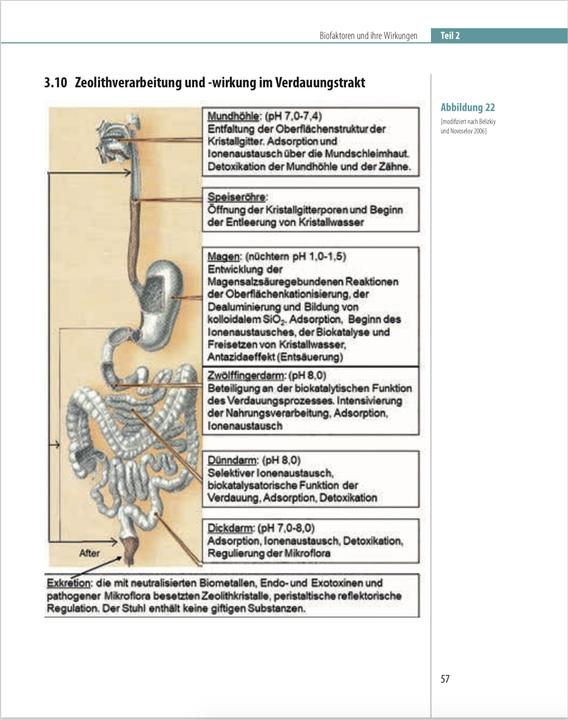 Image du produit Biofaktoren für gesundes Altern (Allemand, Charles Hecht, 2024)