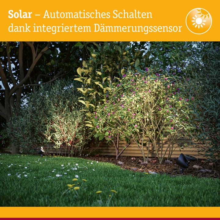 Produktbild Paulmann Solena (3 lm, IP44)