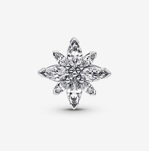 Image du produit Pandora Charm (Argent 925)