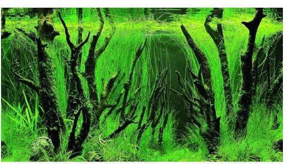 Actual product image Hobby Canyon,Woodland