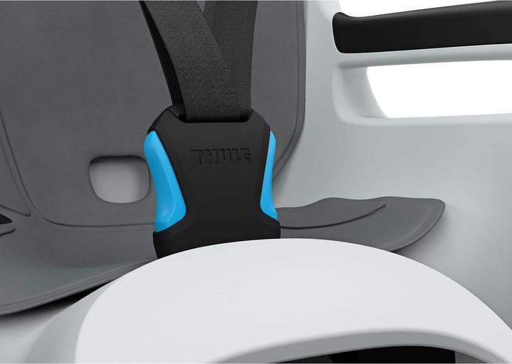 Actual product image Thule Child seat RideAlong 2 (Bike frame)