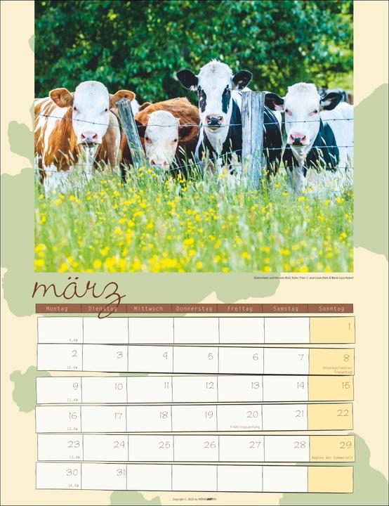 Produktbild Kuh Kalender 2026 (30 x 39 cm)