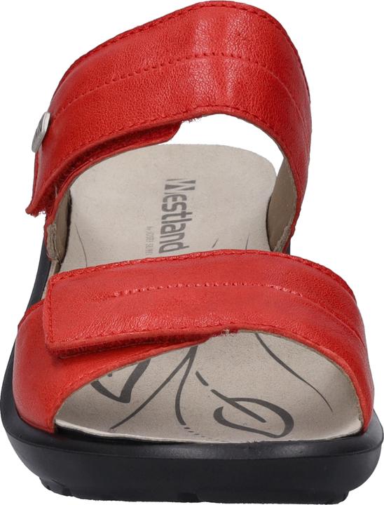 Actual product image Westland 25906-643 (36)