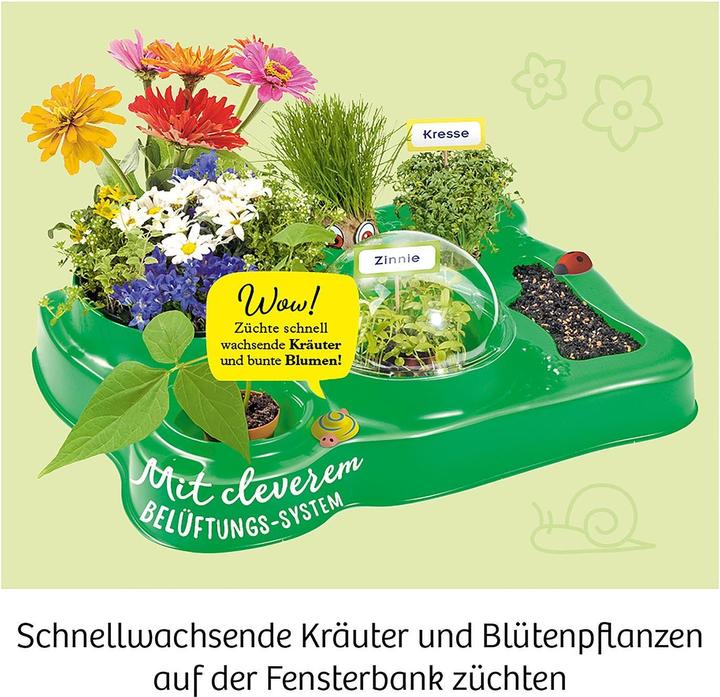Produktbild Kosmos Mein erstes Gewächshaus