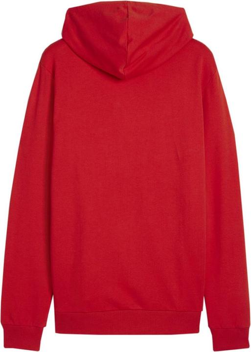 Image du produit Puma Team Goal Kapuzenpullover (M)