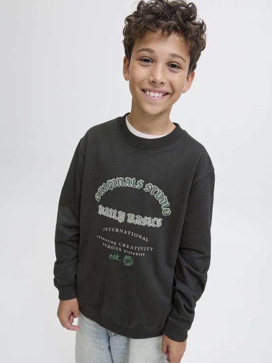 Image du produit Jack & Jones Junior Pullover MEADOWS Sweatshirt (140)