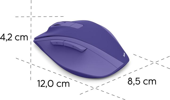 Actual product image Hama WM-500 (Wireless)
