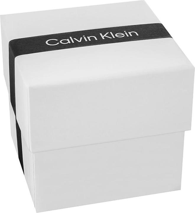 Immagine prodotto Calvin Klein Timeless Mesh Damenuhr 25200003 + BOX