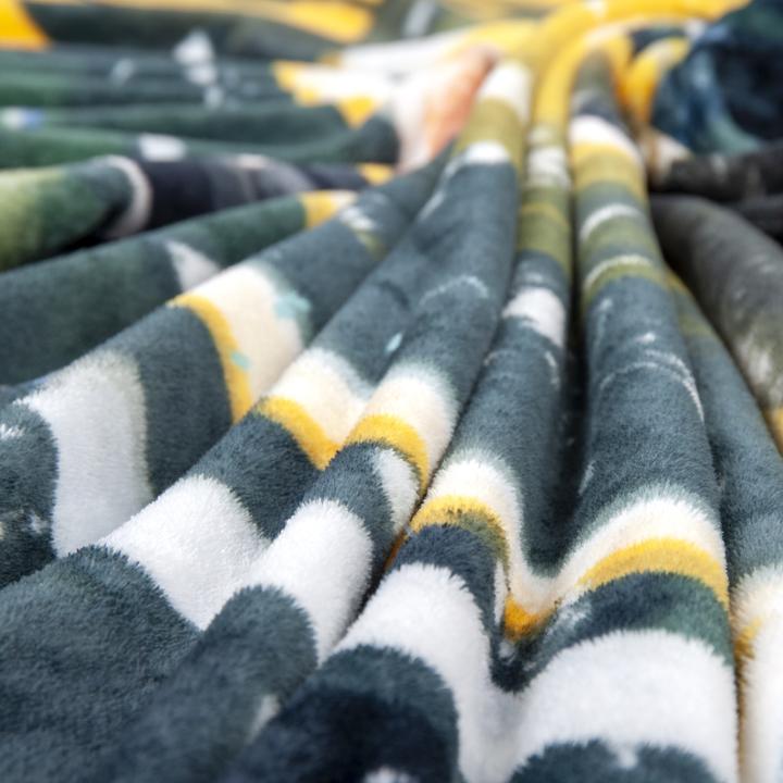 Image du produit NFL Couverture Packers Wellsoft (200 x 150 cm)