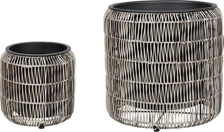 Produktbild Beliani Brodiea