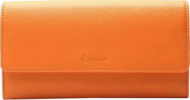 Actual product image Esquire Peru Ladies Purse