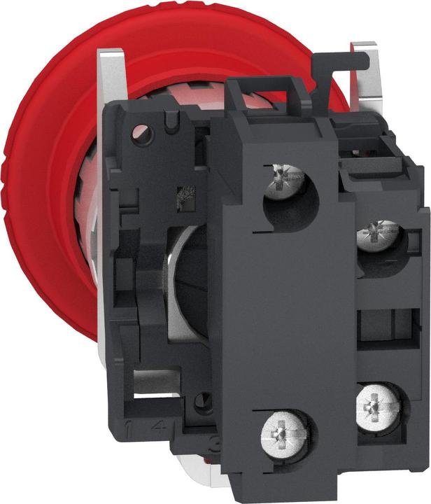 Actual product image Schneider Electric XB4BS84462