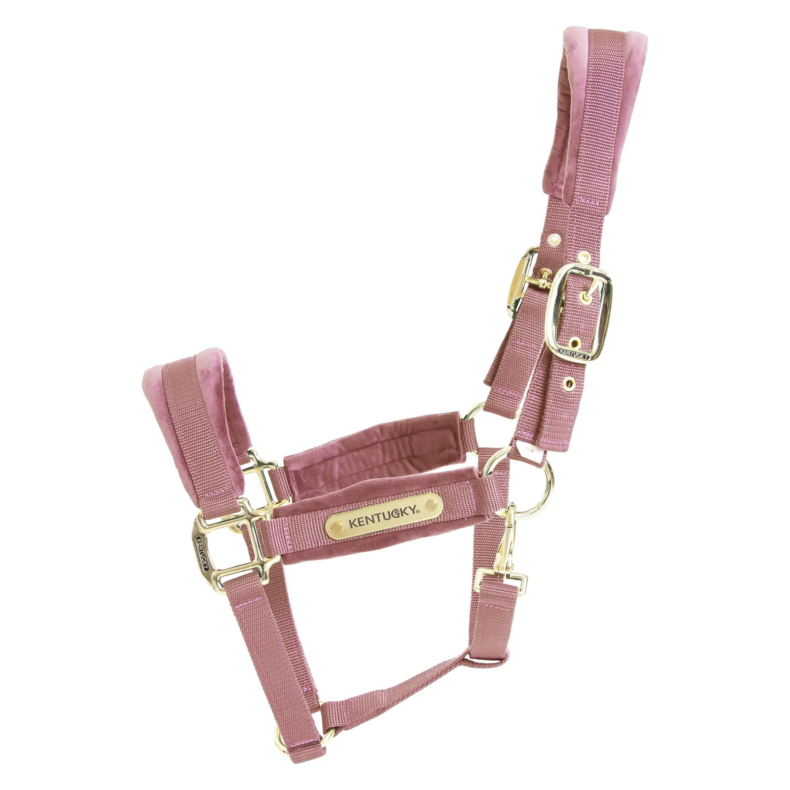 Kentucky Horsewear, Halfter