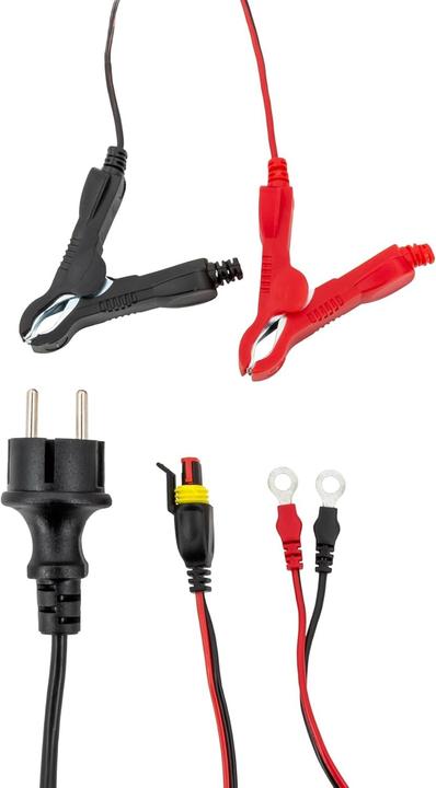 Actual product image GYS Flash 6.12 (12V, 6 A)