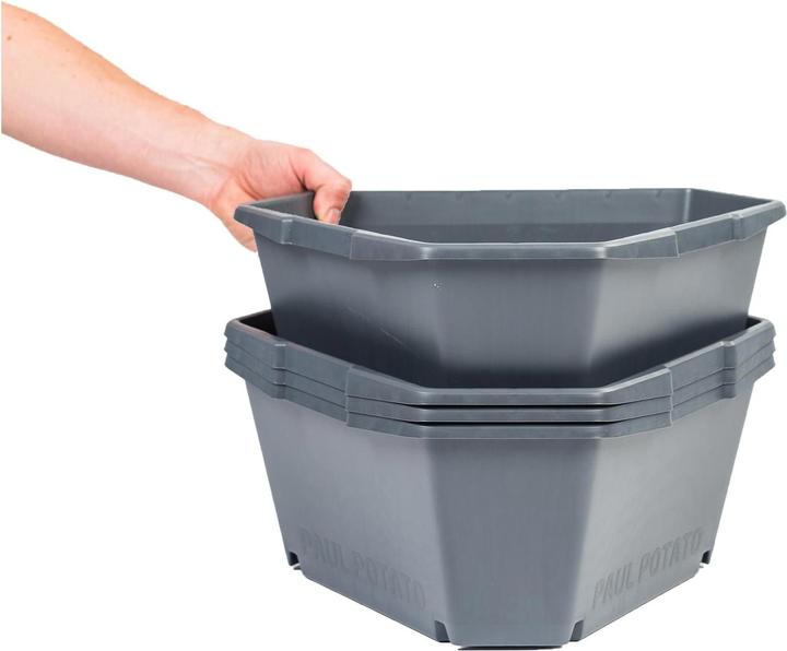 Actual product image Gusta Garden Paul Potato (38.80 cm)