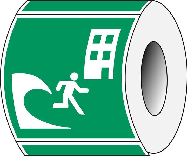 Image du produit Brady Panneau de sécurité ISO - Bâtiment d'évacuation en cas de tsunami