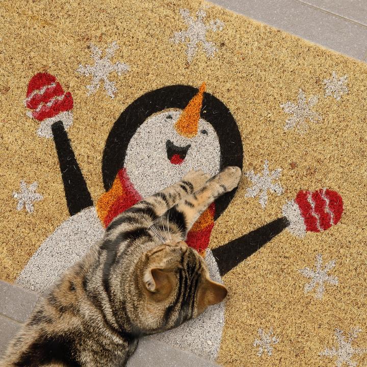 Productafbeelding Relaxdays Deurmat (40 x 60 cm)