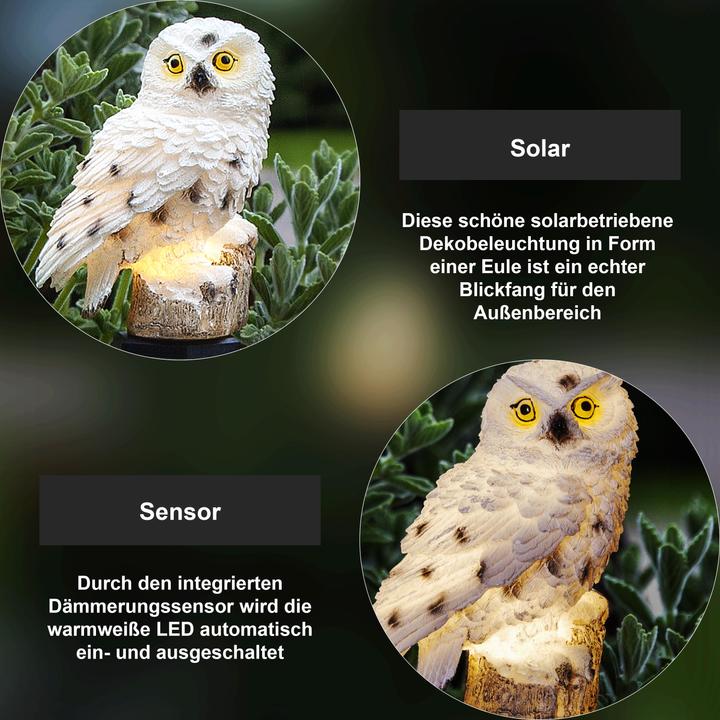 Immagine prodotto Star Trading Owl (IP44)