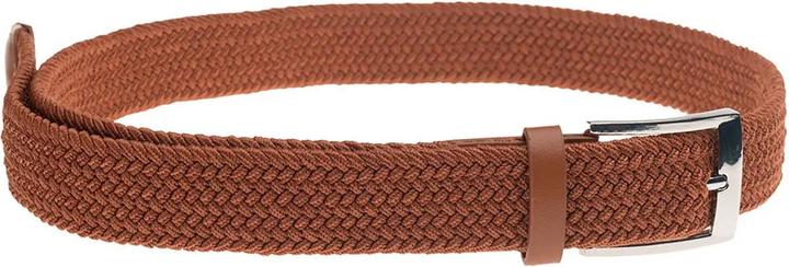 Produktbild Iguana Gürtel Saddler