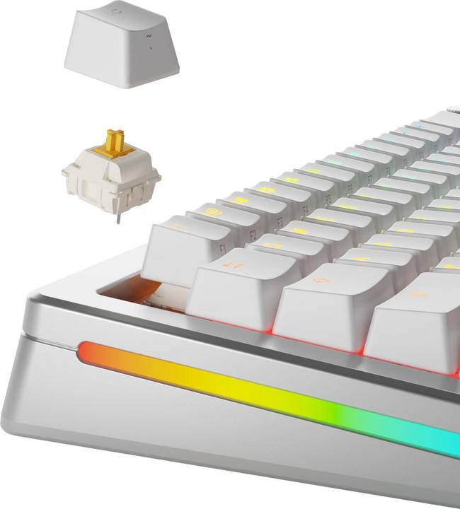 Actual product image Glorious Panda Standard Switches, mechanisch, 5-Pin, taktil, MX-Stem, 50g - lubed, 36 Stück