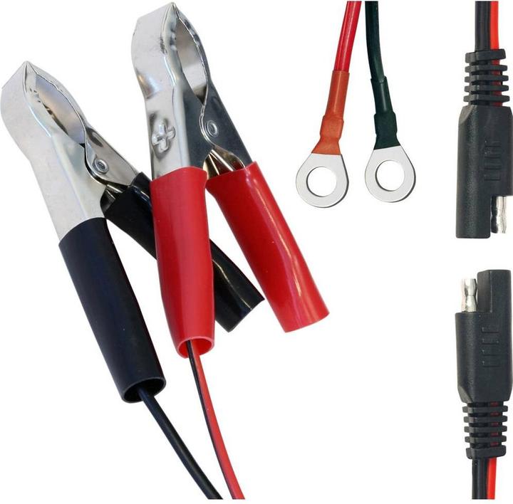 Actual product image Dino Automatic charger (12V, 6V, 0.75 A)