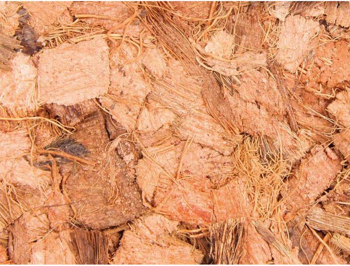 Actual product image Trixie Coconut chop