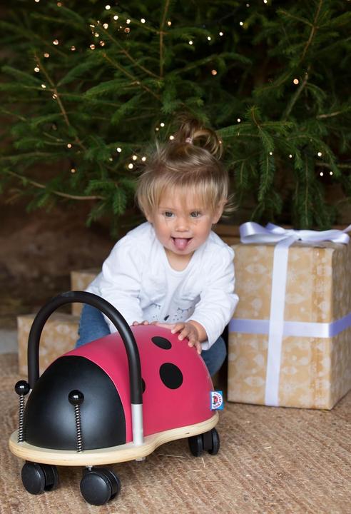 Image du produit Wheely Bug Coccinelle petite