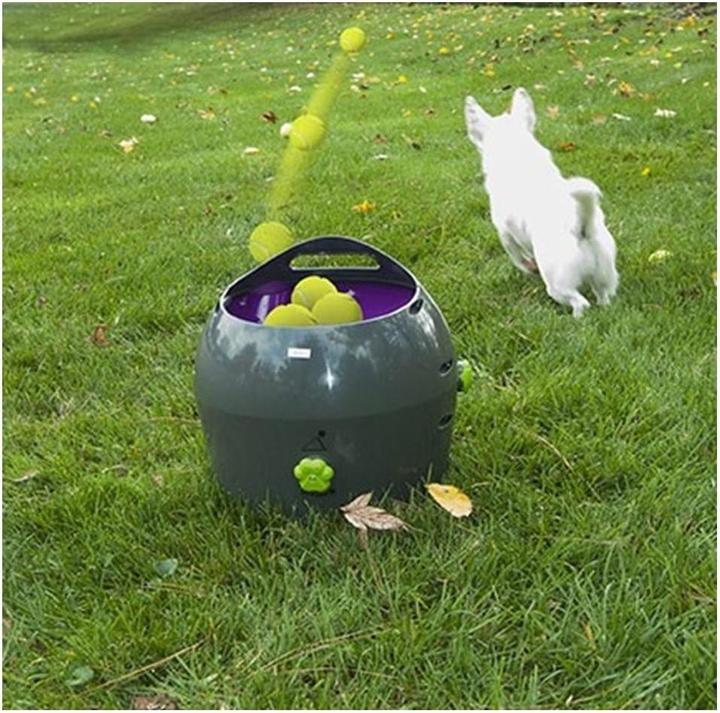 Actual product image PetSafe Ball thrower (Ball toy dog)