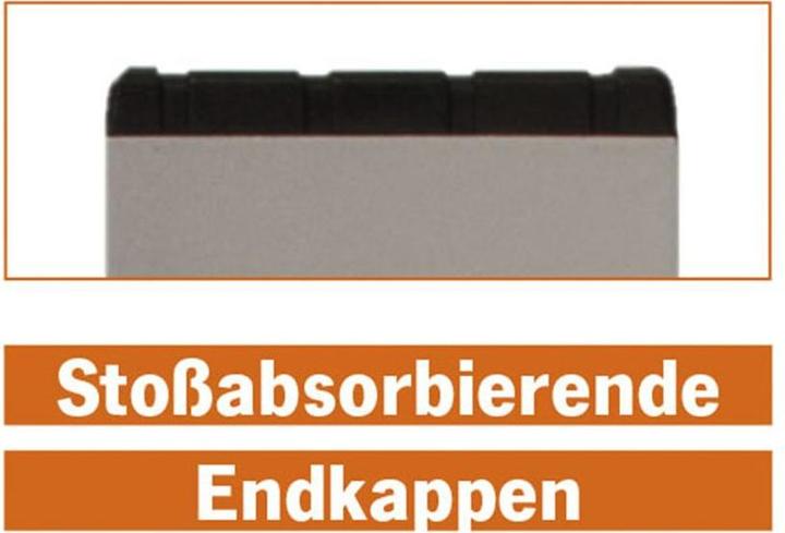 Actual product image Projahn Wasserwaage Standard 30 cm (5 cm)