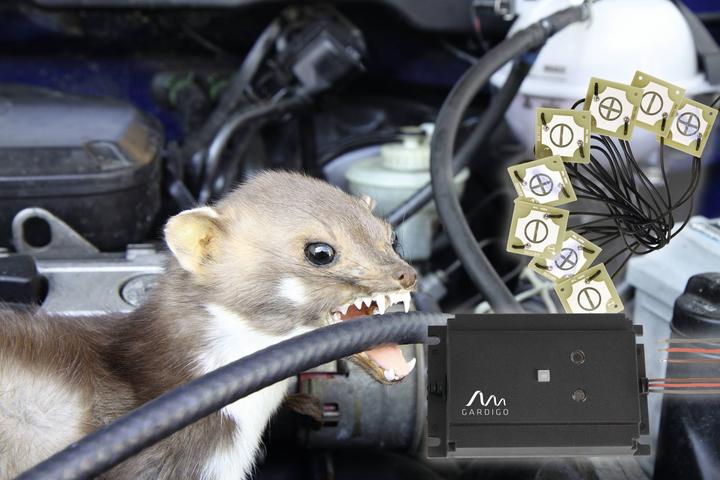 Productafbeelding Gardigo 78540INT Ultrasoon marterafweermiddel 1 st.