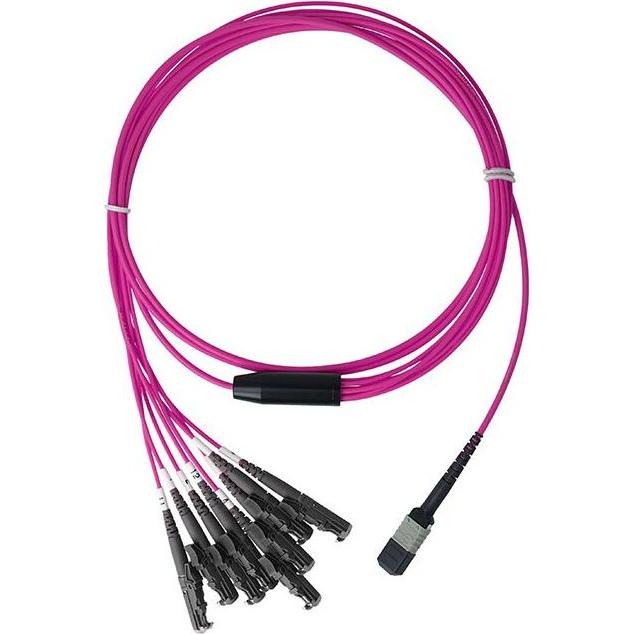 BlueOptics LWL MTP/4xE2000 Breakout Kabel OM4 50 Meter (50 m), Netzwerkkabel