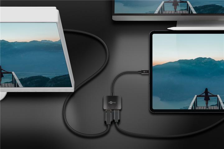 Actual product image Goobay USB-C to DisplayPort and HDMI adapter (DP, HDMI, 12 cm)