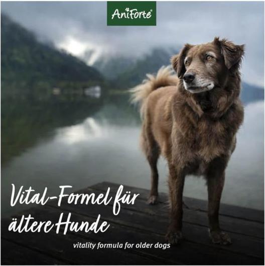 Produktbild AniForte Senior Active (Senior, 1 Stk., 250 g)