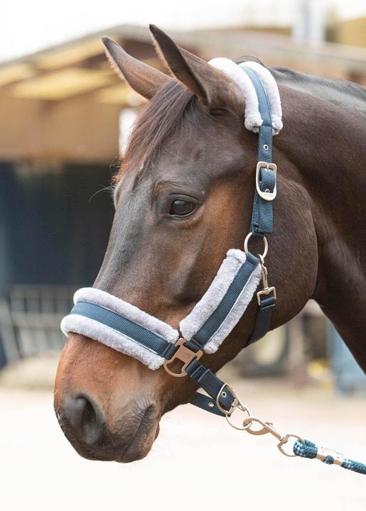 Immagine prodotto Harry's Horse Just Ride Retro Soft