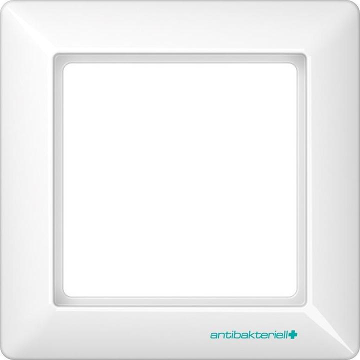 Actual product image JUNG Frame