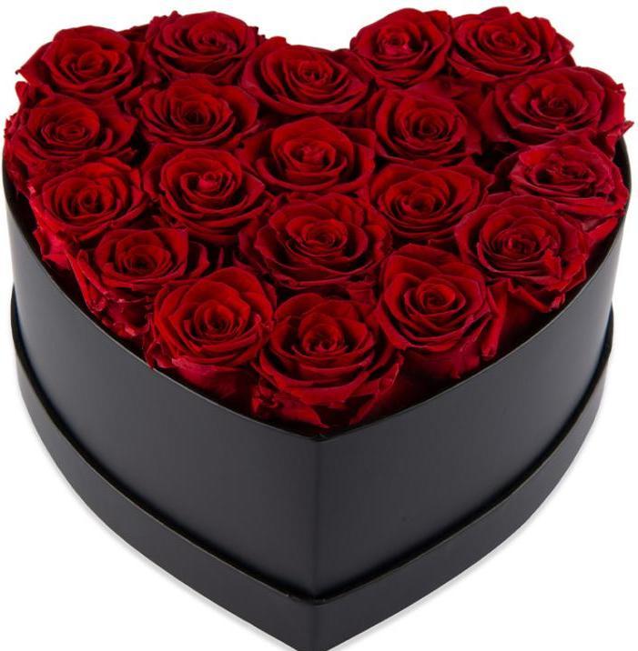 Image du produit TOP Rosenbox (14 cm)