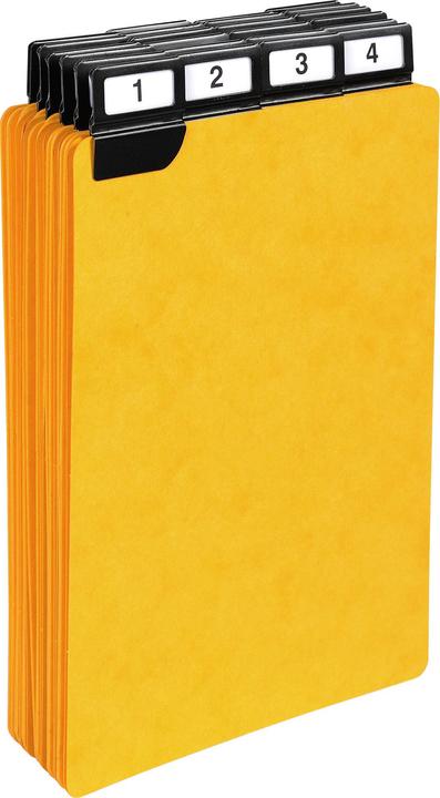 Actual product image Exacompta 24 dividers 500 micron with alphabetical metallic tabs for vertical filing 210x148mm -