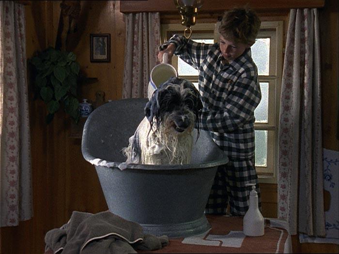 Image du produit Collection Willy Wuff - Édition 5 films (DVD, 2018, Allemand)