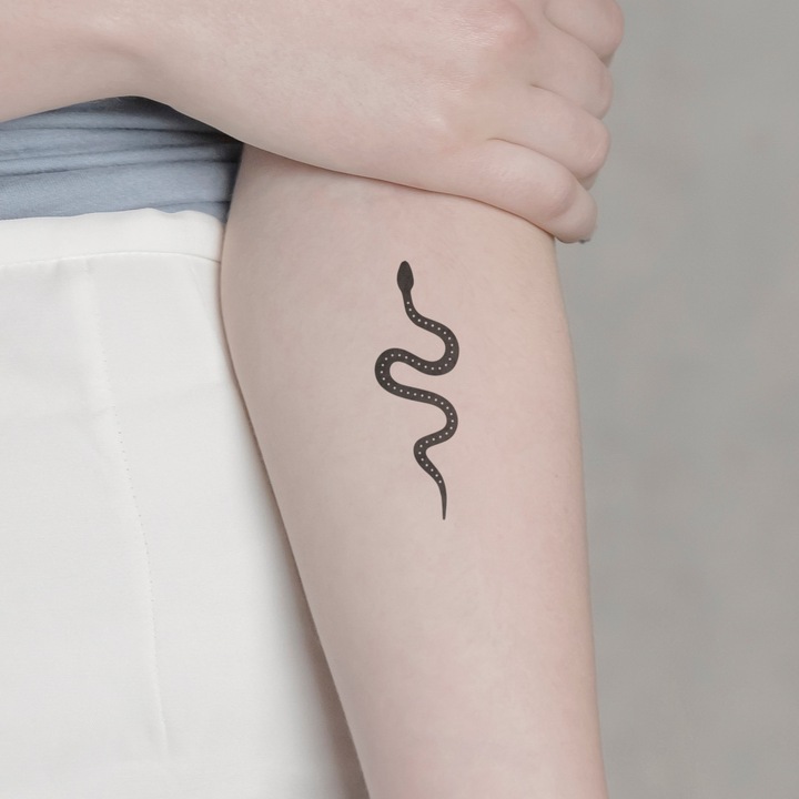 Immagine prodotto minink Tatuaggio temporaneo - serpente con puntini