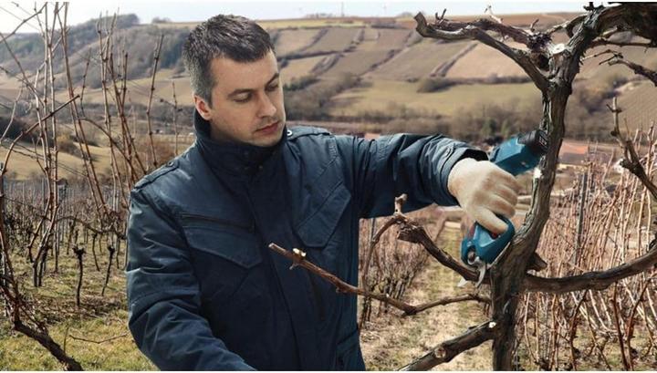 Produktbild Bosch Professional Pro Pruner